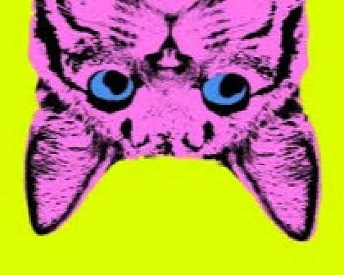 Curious: Is it Fascism Yet? tickets