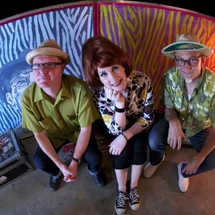 Southern Culture On the Skids cover image