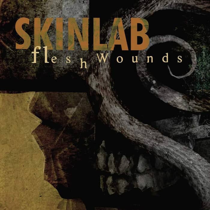 Skinlab cover image