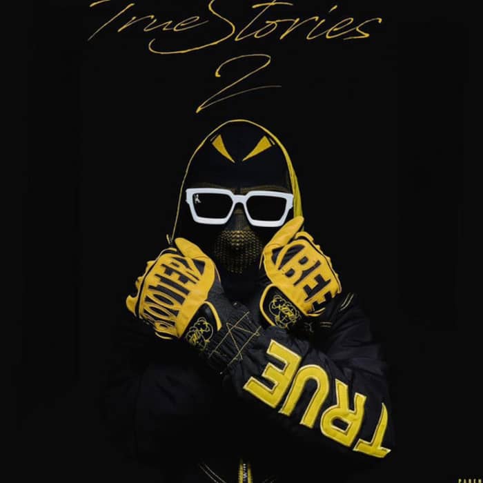 Booter Bee cover image