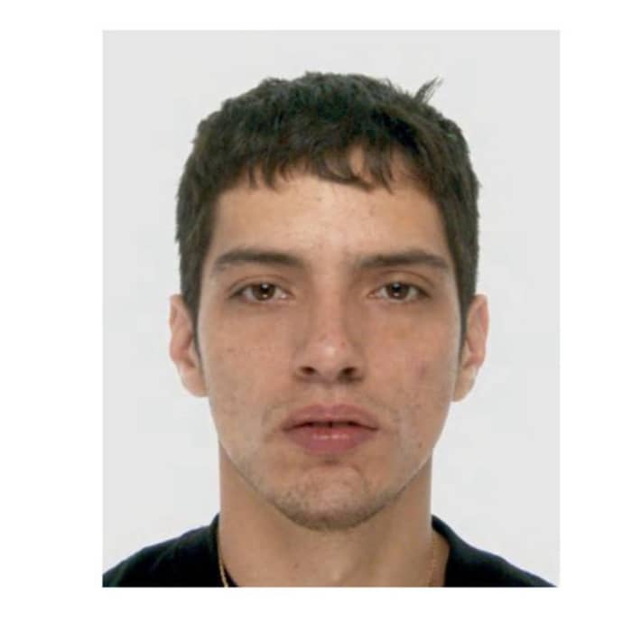 Mandragora cover image