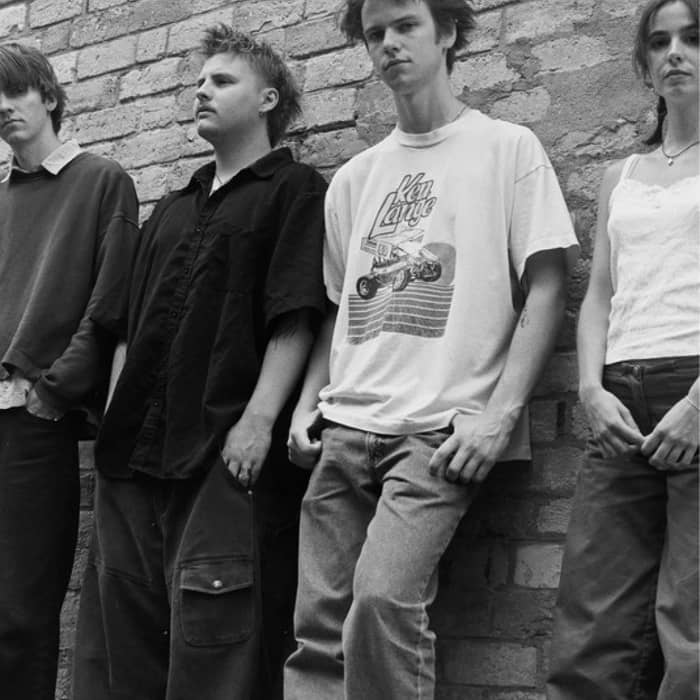 Daffodils cover image