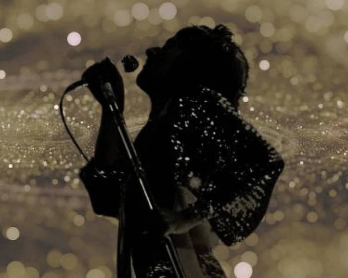 The UK Rod Stewart Show tickets