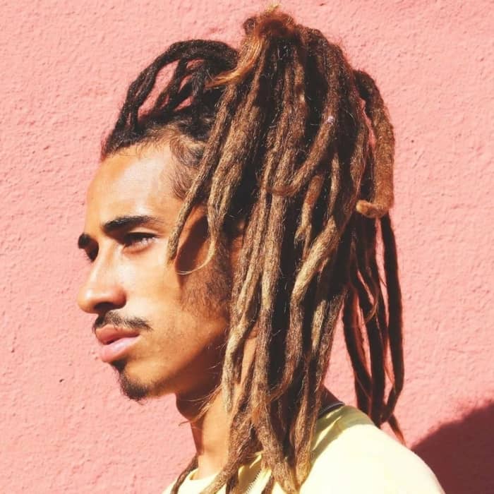 Shaka Lion cover image