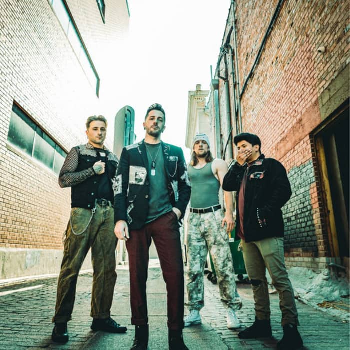 Stray View cover image