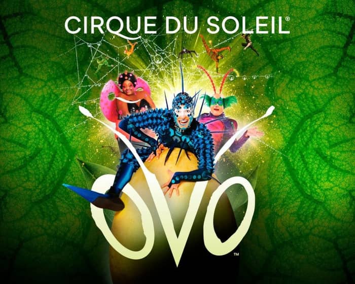 OVO Cirque du Soleil tickets