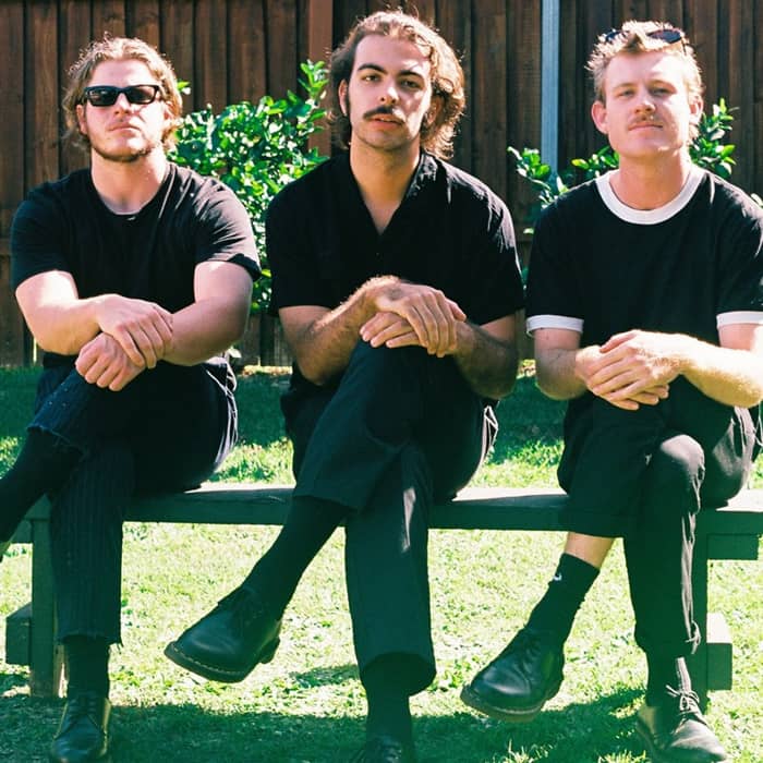 Crocodylus cover image