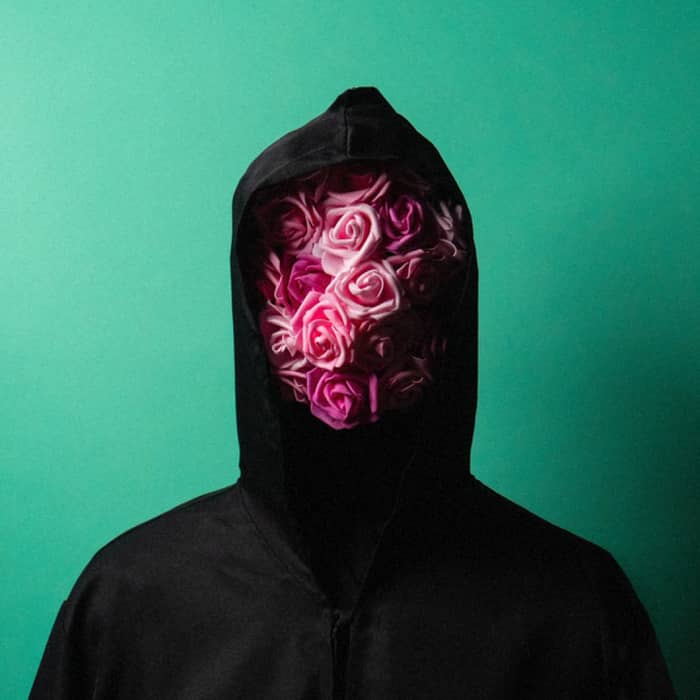 This Wild Life cover image