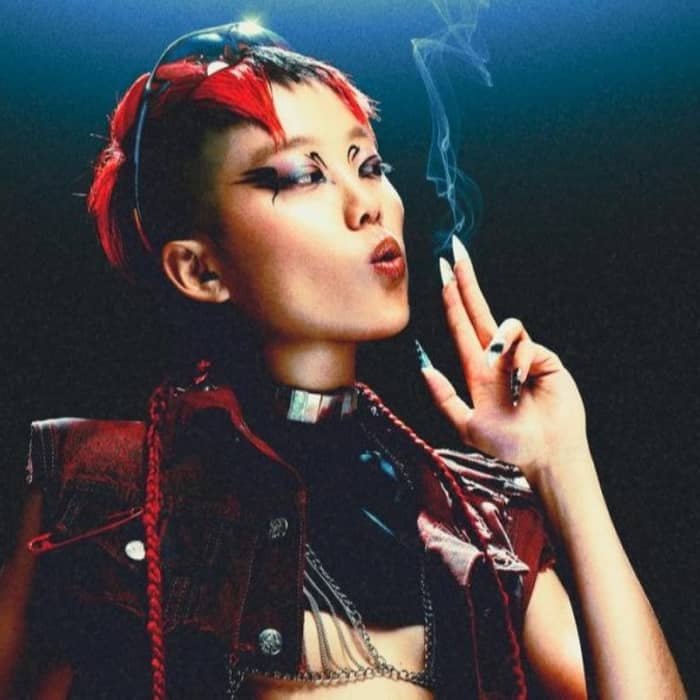 Anita B Queen cover image