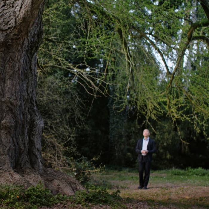 Silent Friend cover image