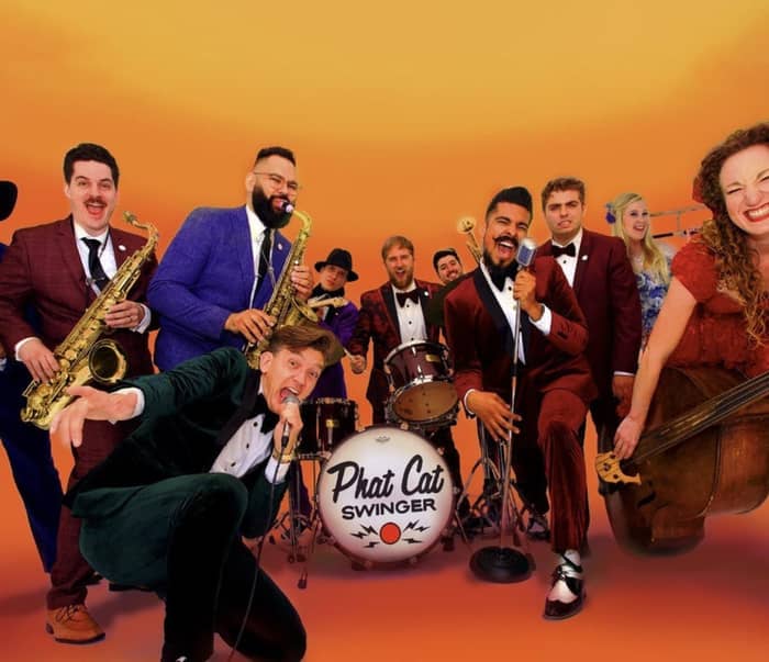 Phat Cat Swinger cover image