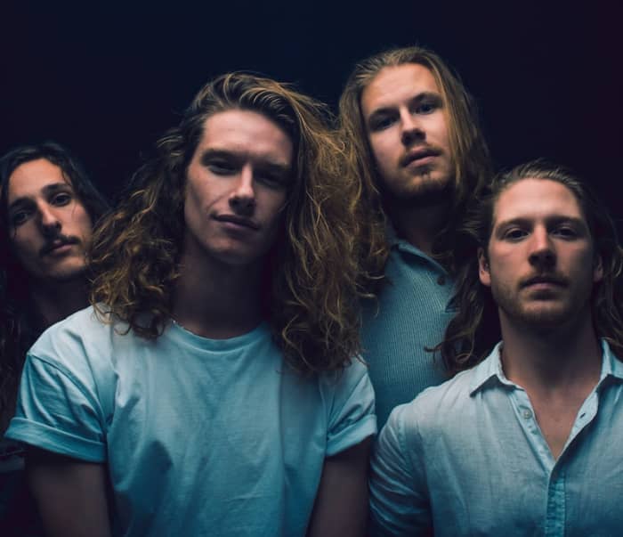 The VANNs cover image