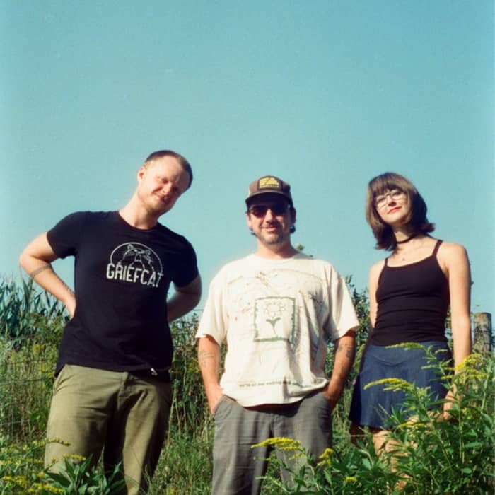 Susto Stringband cover image