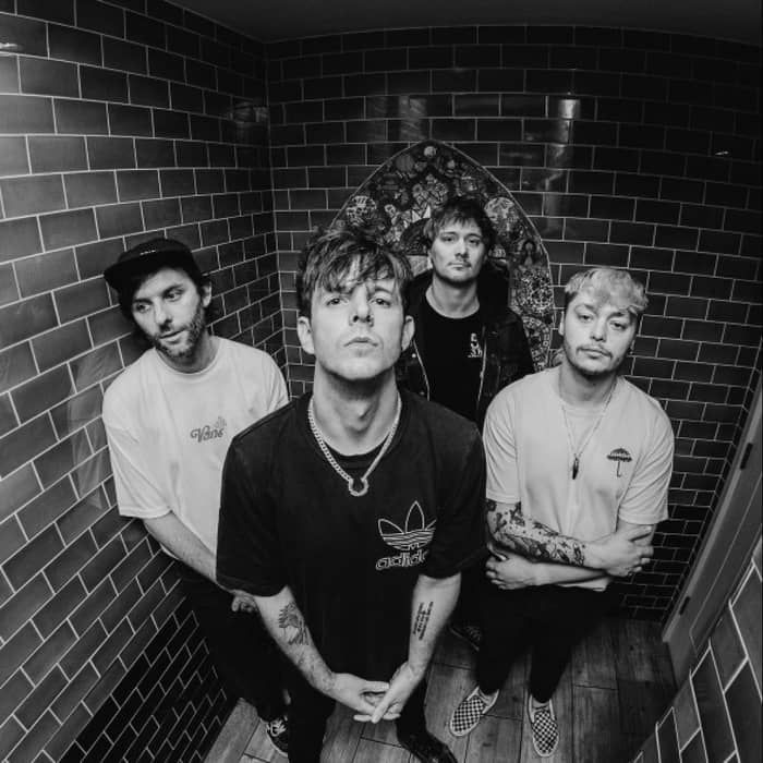 PET NEEDS cover image