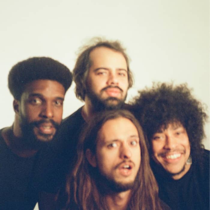 Boogarins cover image