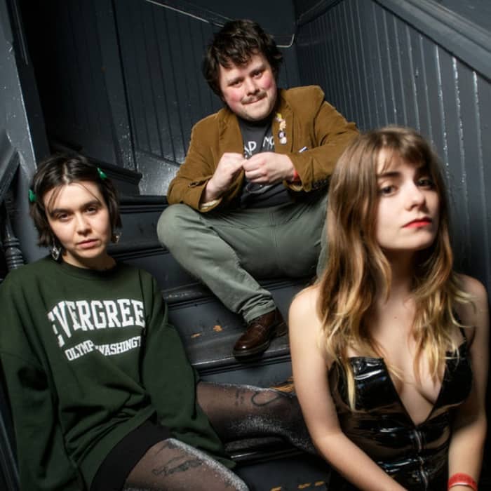 Skating Polly cover image