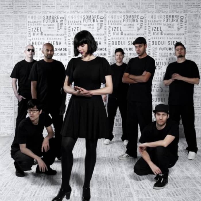 The Herd cover image