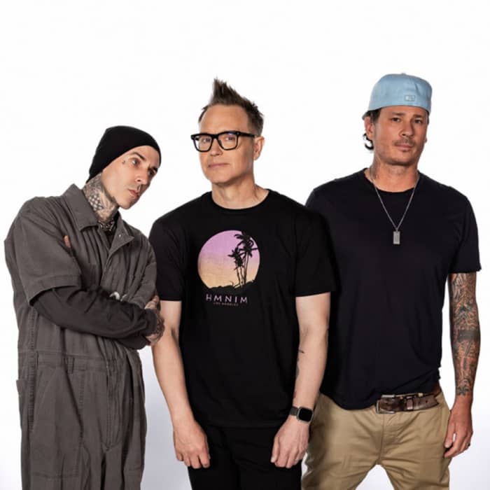 blink-182 cover image