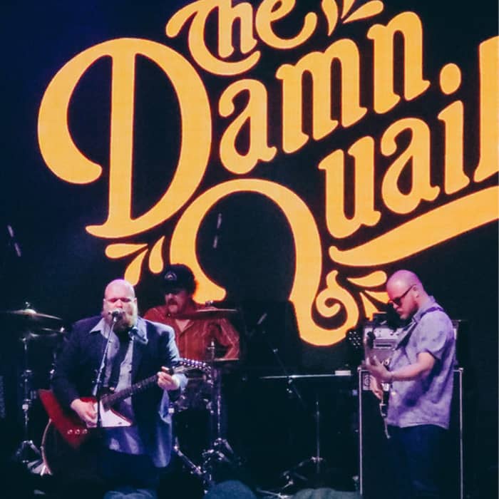 The Damn Quails cover image
