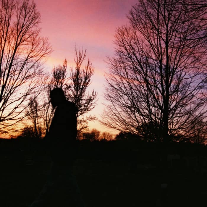 Scarlet House cover image