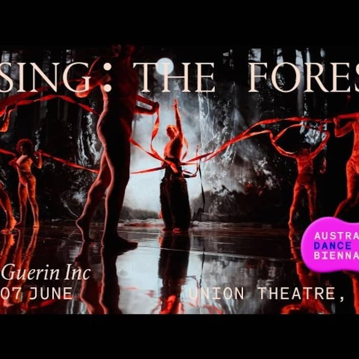 Rising: The Forest cover image