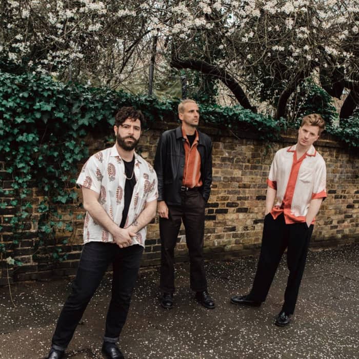 Foals cover image