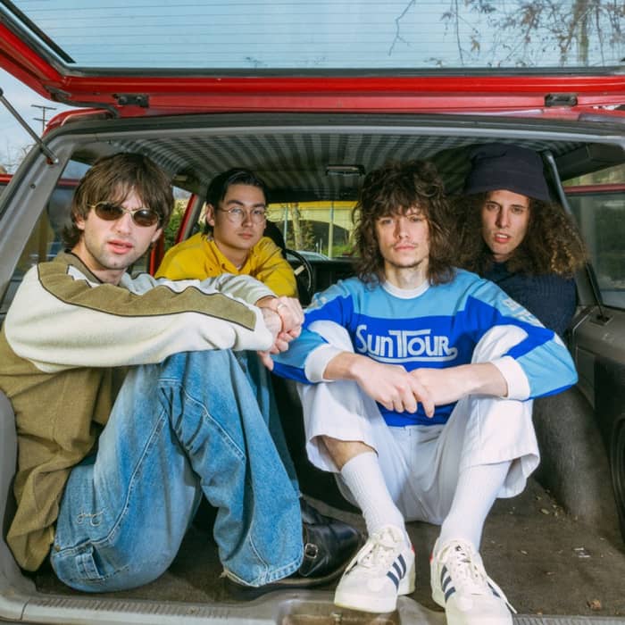 Rosellas cover image