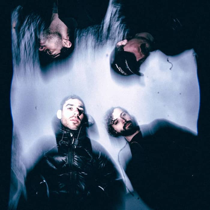 Scalping cover image