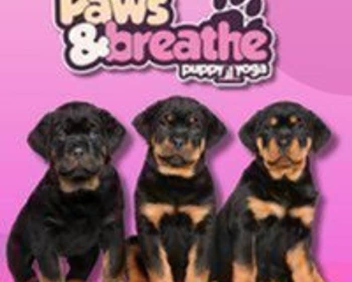 Puppy yoga Birmingham tickets