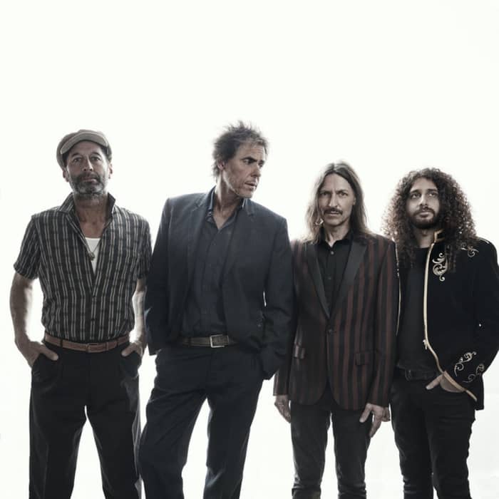 The Whitlams cover image