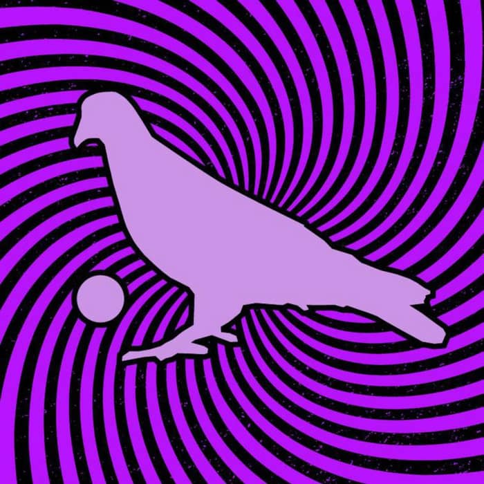 Pigeons Playing Ping Pong tickets