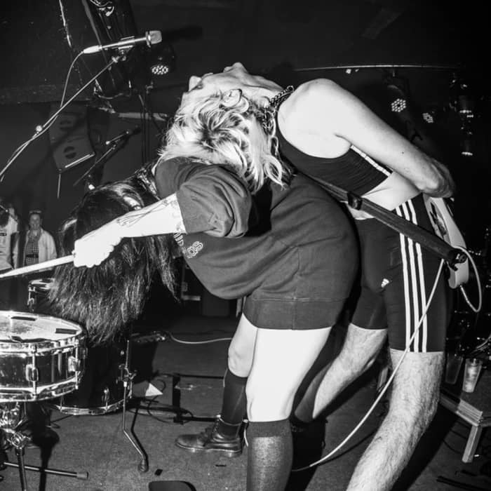 The Gooch Palms cover image