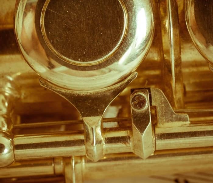 The Mildred Snitzer Orchestra cover image