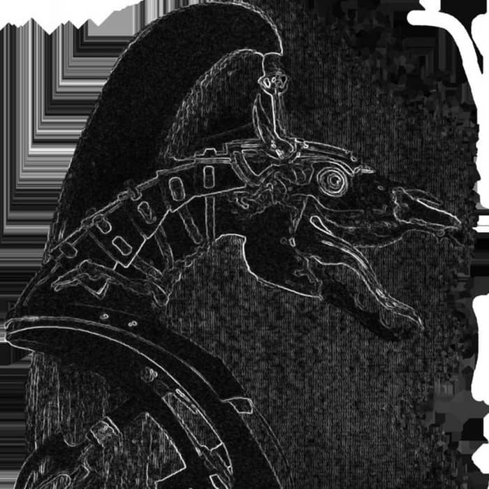 Lone Survivors cover image