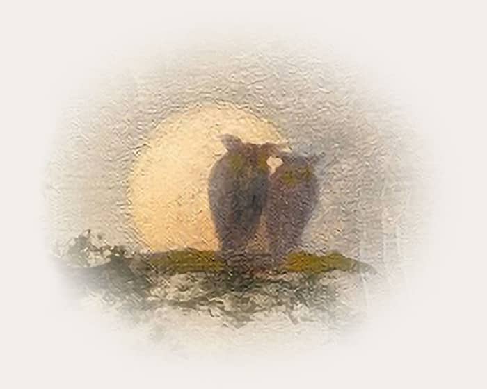 Benaroya Hall events