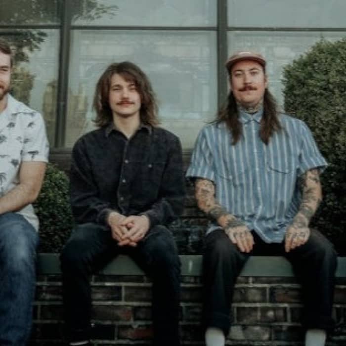 Screen Frogs cover image