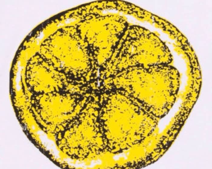 The Clone Roses, Oasish, The Smiths Ltd tickets