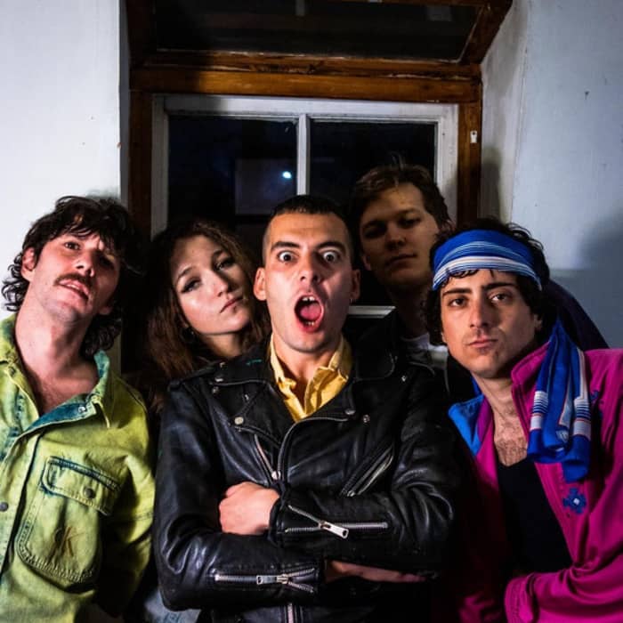 The Gulps cover image