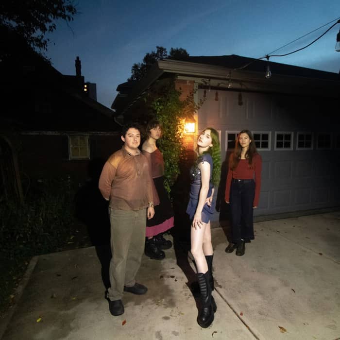 The Ophelias cover image