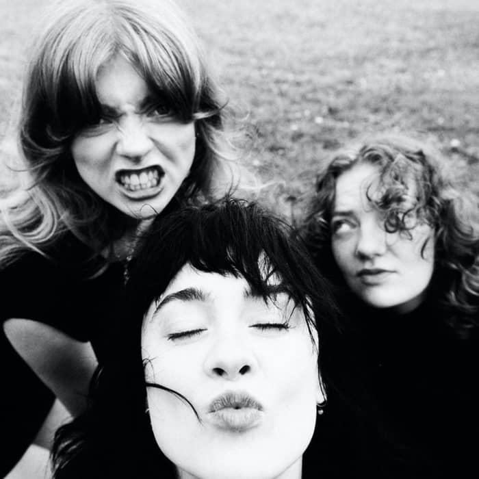 Folk Bitch Trio cover image