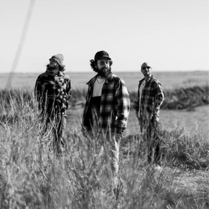 SensaMotion cover image