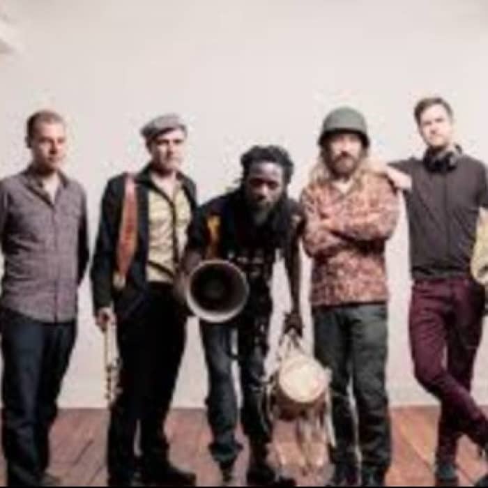 The Afrobiotics cover image