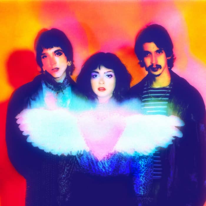 The Velveteers cover image