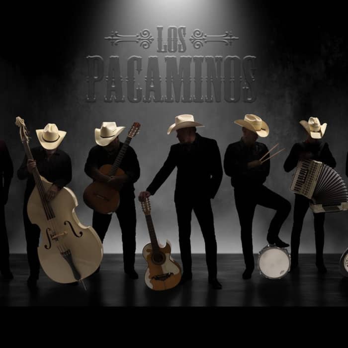 Los Pacaminos cover image