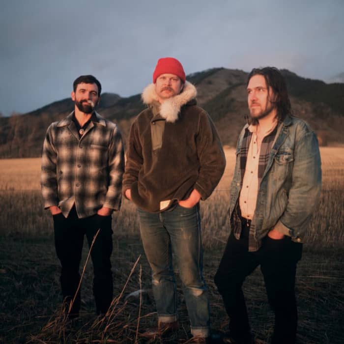 The Last Revel cover image