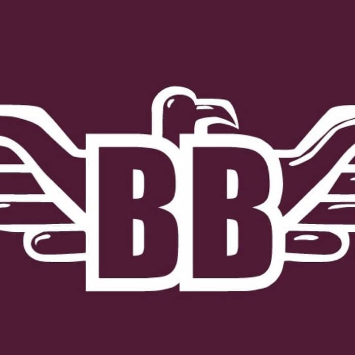 Bit Brigade cover image