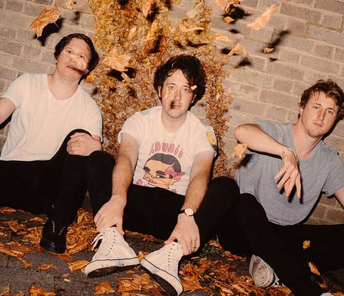 The Wombats cover image