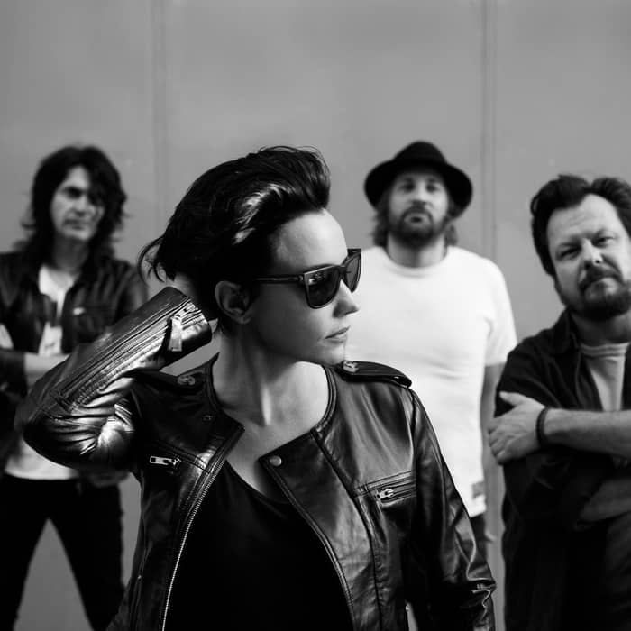 Baby Animals cover image