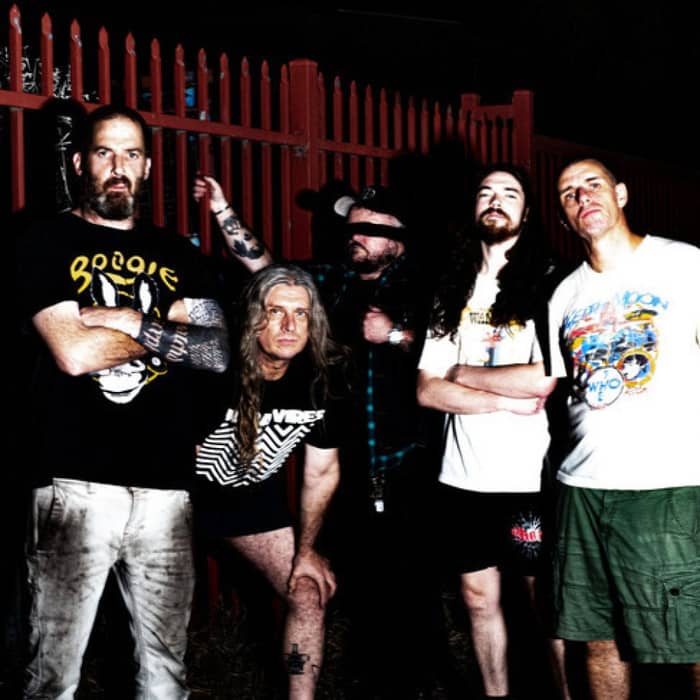 King Parrot cover image