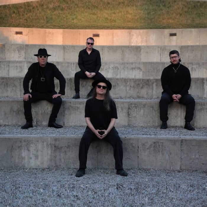 Violent Femmes cover image